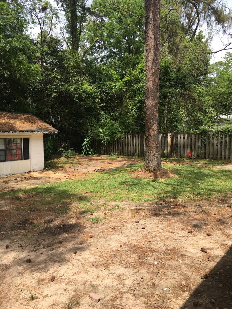 House for rent at 216 N Lipona, Tallahassee, FL 32304