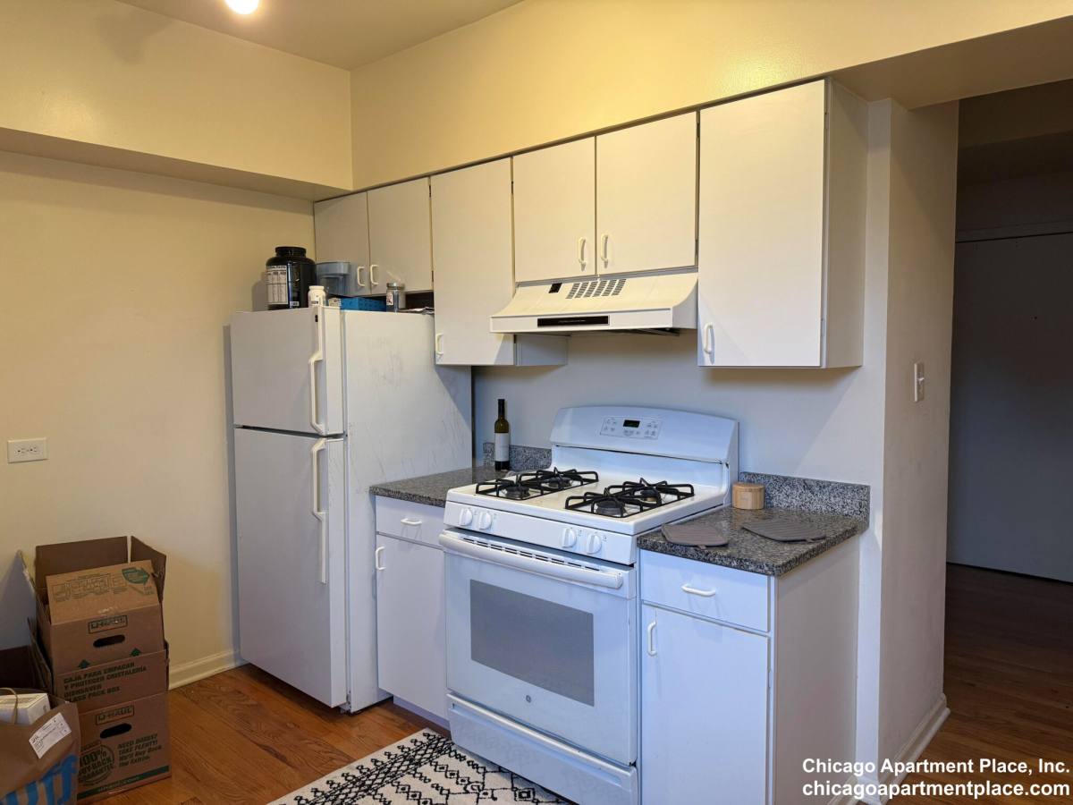 Apartment for rent at 3257 N Sheffield Ave #201, Chicago, IL 60657
