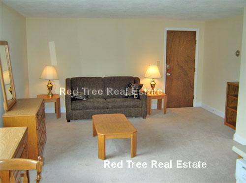 Apartment for rent at 4 Brattle Dr #3, Arlington, MA 02474