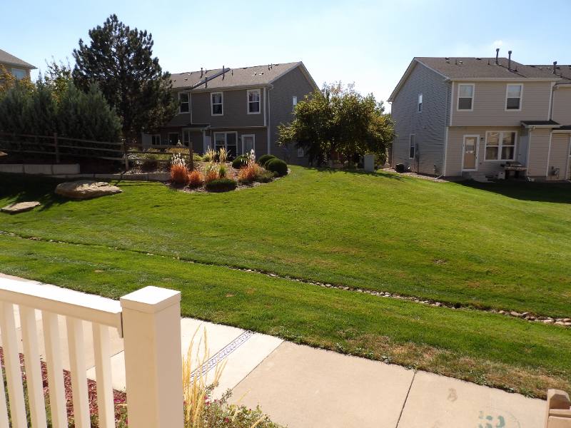 House for rent at 2163 Squawbush Ridge Grove, Colorado Springs, CO 80910
