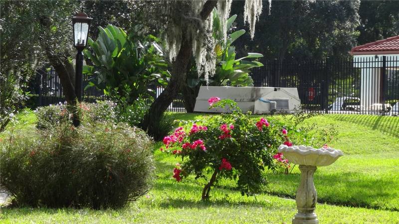 Condo for rent at 3455 Countryside Blvd Bldg 12 #95, Clearwater, FL 33761
