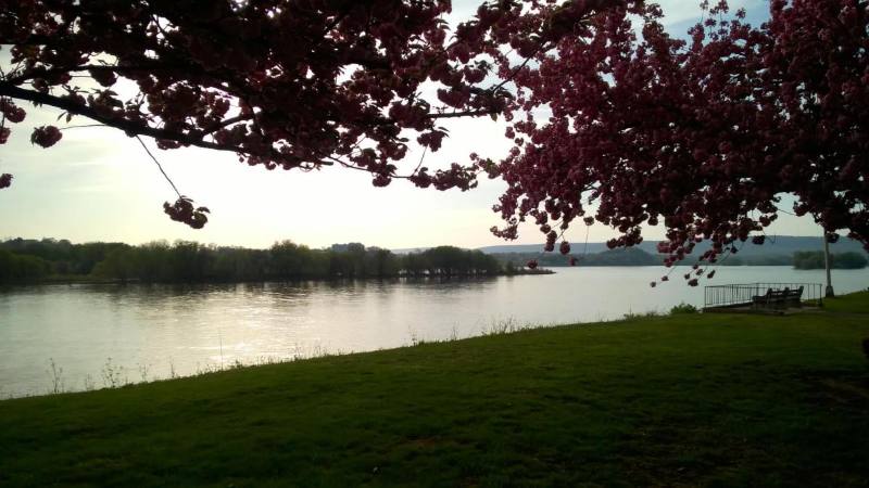 Apartment for rent at 1406 N 2nd St #2 R, Harrisburg, PA 17102