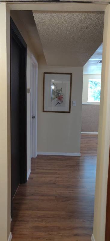 House for rent at 4513 60th Ave W, Tacoma, WA 98466