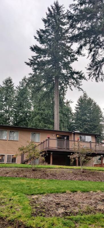 House for rent at 4513 60th Ave W, Tacoma, WA 98466