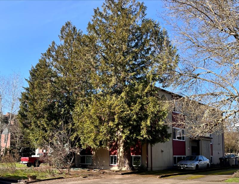 Apartment for rent at 214 SW 8th St #1, Corvallis, OR 97333