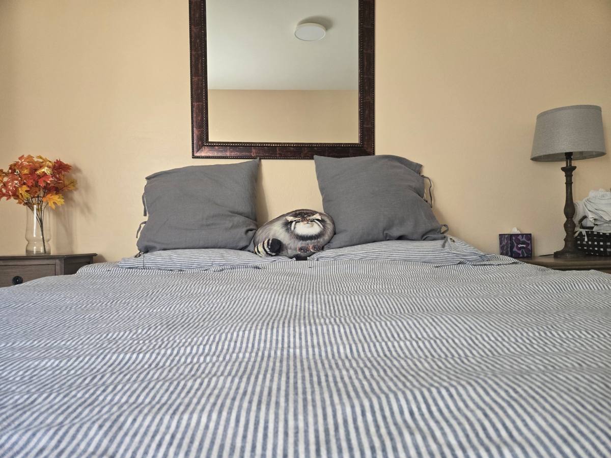 Apartment for rent at 24877 W Rosita Ave, Buckeye, AZ 85326
