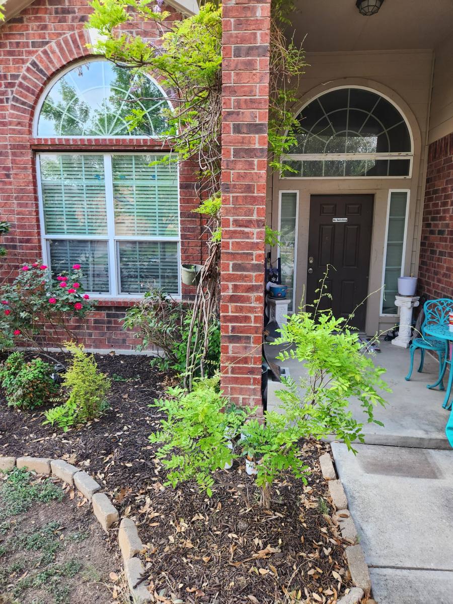 House for rent at 9631 Common Law, Converse, TX 78109