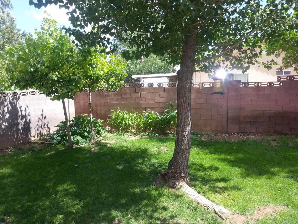 House for rent at 928 W Greenslake Dr, Cedar City, UT 84720