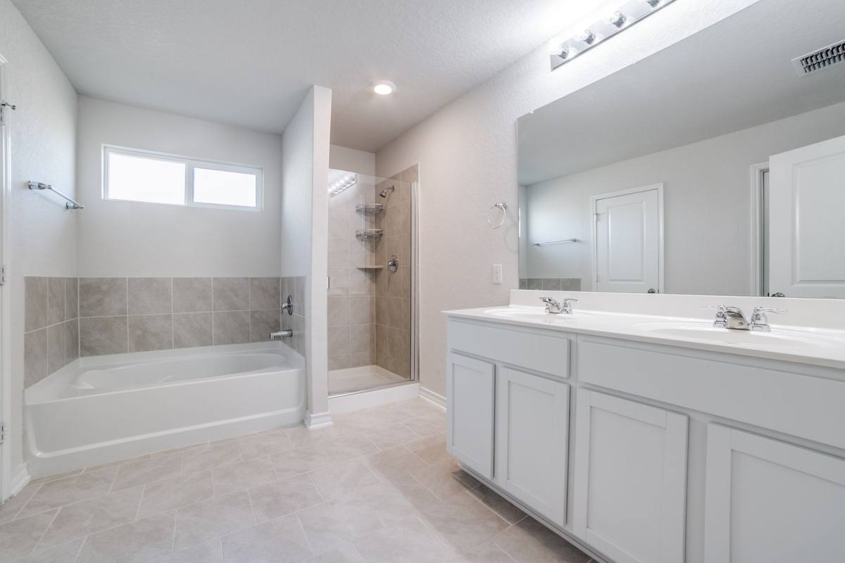 House for rent at 954 Winged Scoter, San Antonio, TX 78253