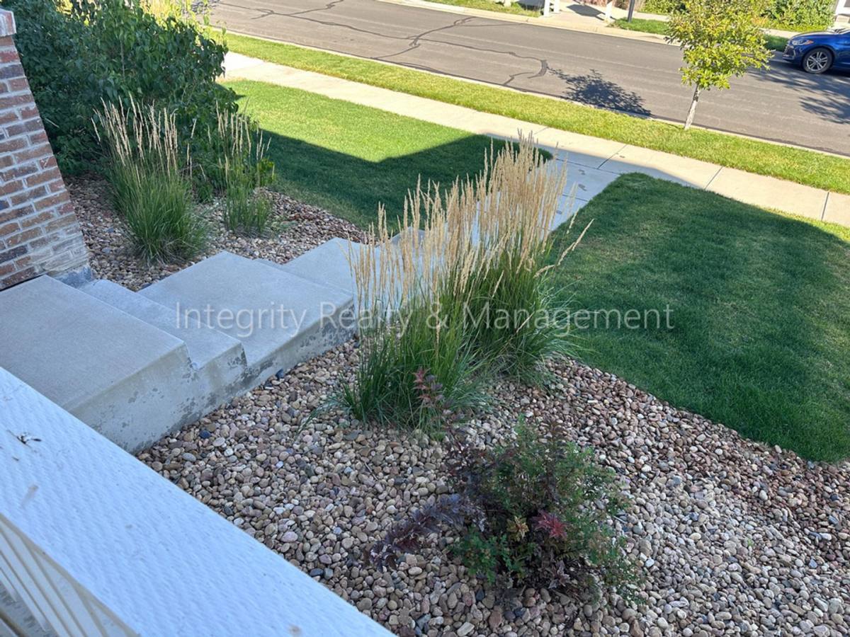 House for rent at 3762 Cadence Dr, Castle Rock, CO 80109