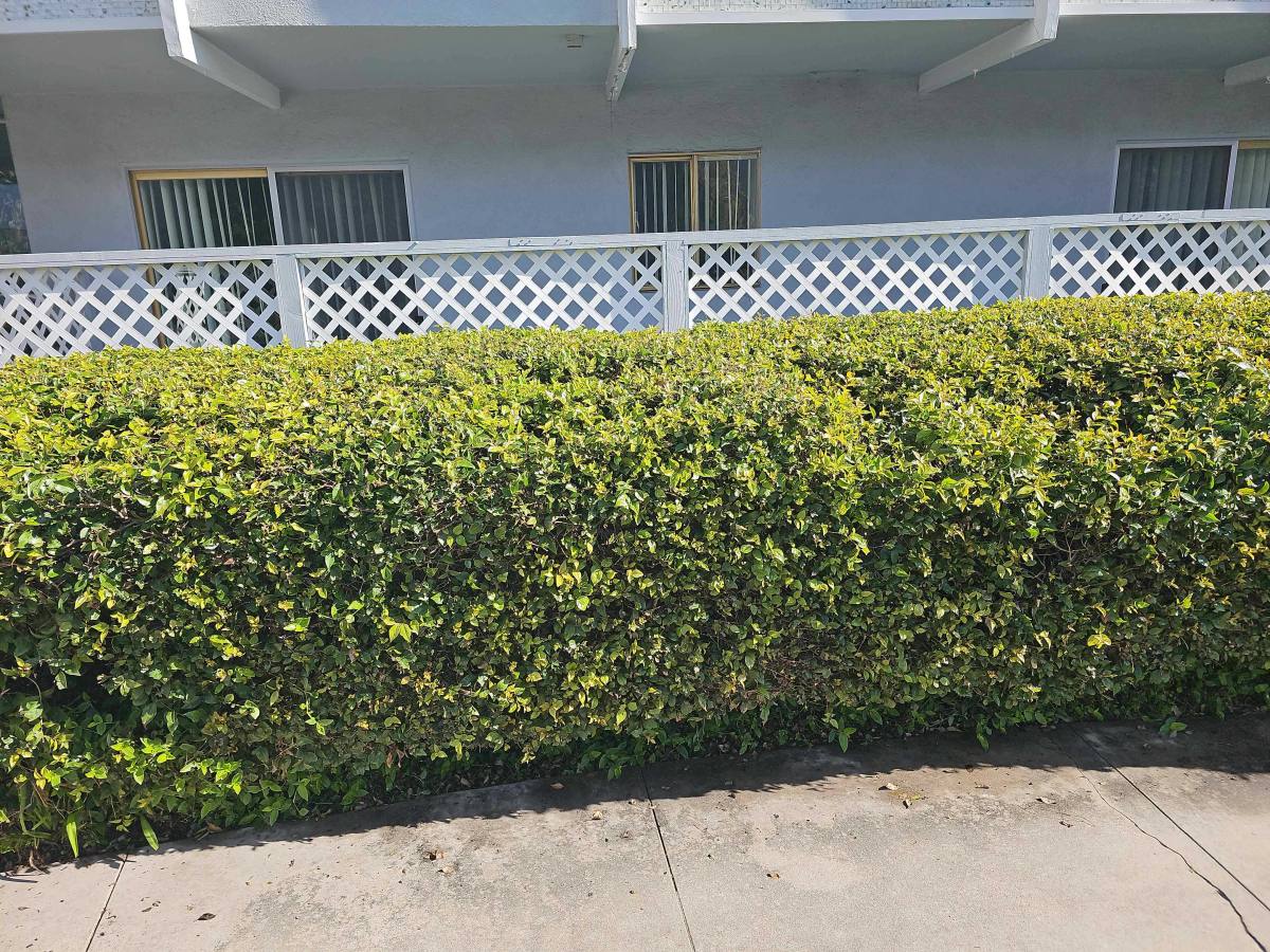 Apartment for rent at 5262 Corteen Place #1, Valley Village, CA 91607