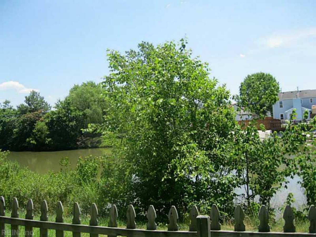 Townhouse for rent at 1355 Battleford Dr, Virginia Beach, VA 23464