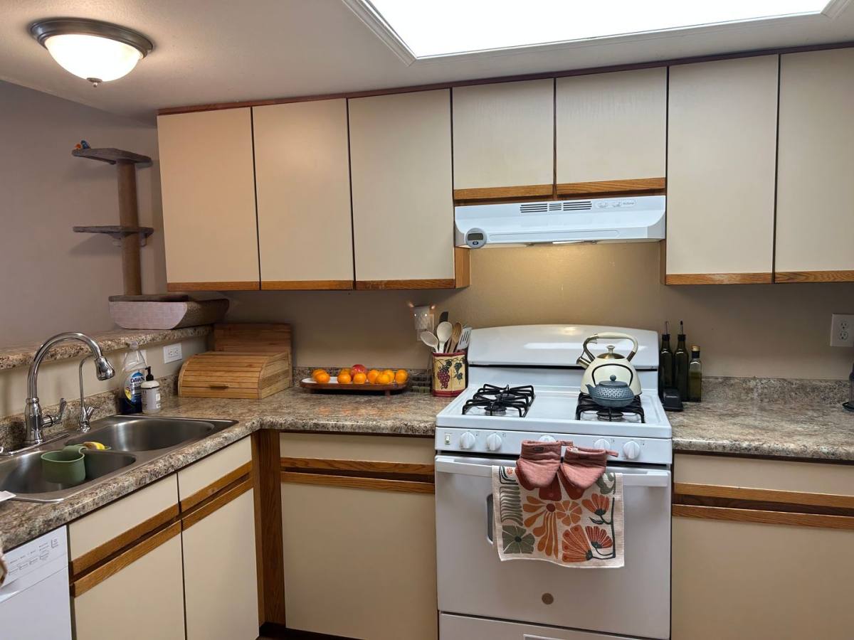 House for rent at 3483 Atlantic Dr, Colorado Springs, CO 80910