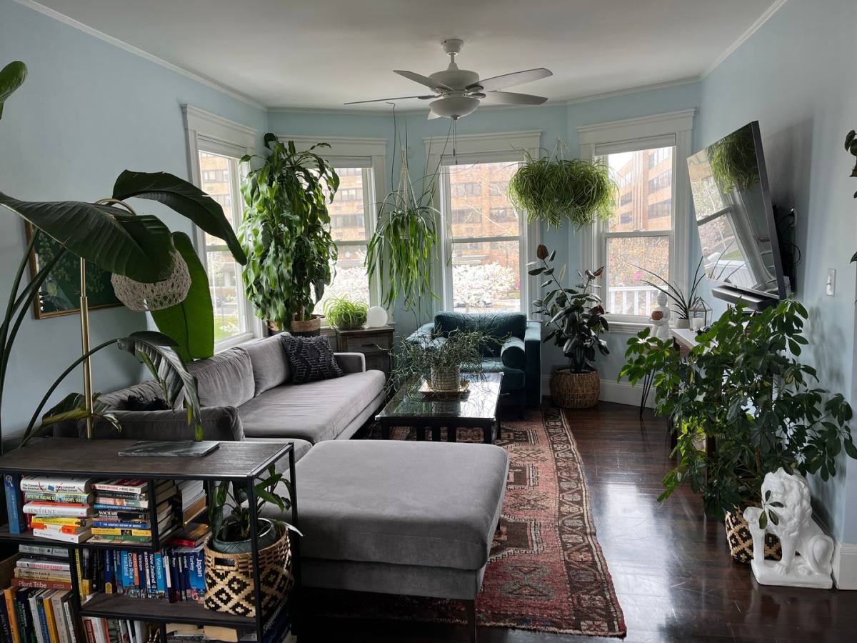 Apartment for rent at 2145 Dorchester Ave #3, Dorchester Center, MA 02124