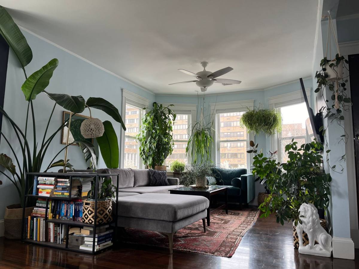 Apartment for rent at 2145 Dorchester Ave #3, Dorchester Center, MA 02124