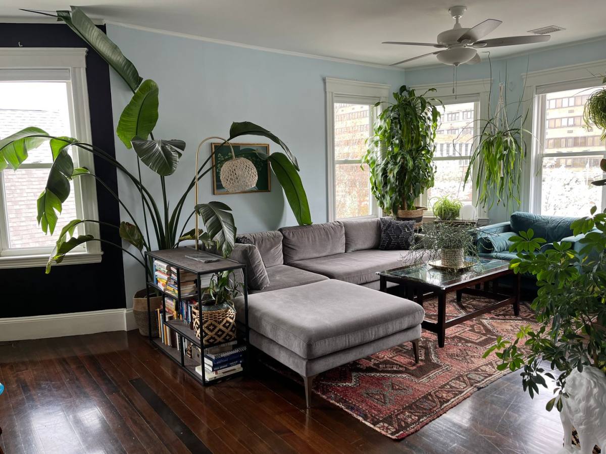 Apartment for rent at 2145 Dorchester Ave #3, Dorchester Center, MA 02124