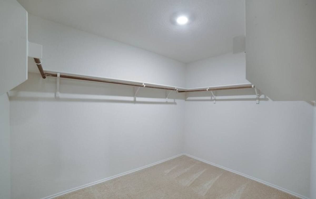 House for rent at 801 Nodding Nixie, Seguin, TX 78155