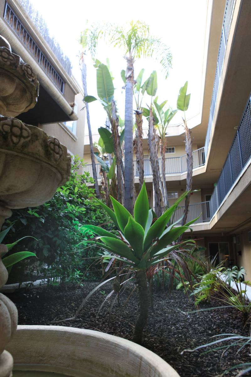 Apartment for rent at 3255 Sawtelle Blvd, Los Angeles, CA 90066