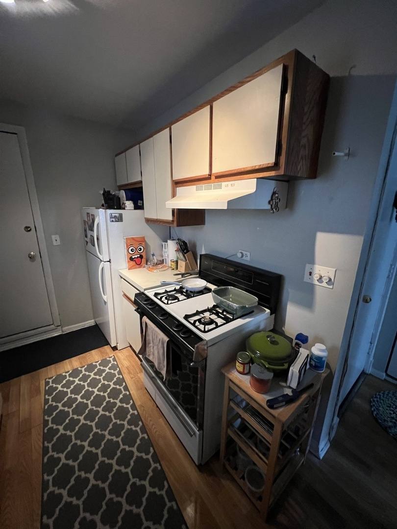 Apartment for rent at 866 W Aldine Ave #3, Chicago, IL 60657