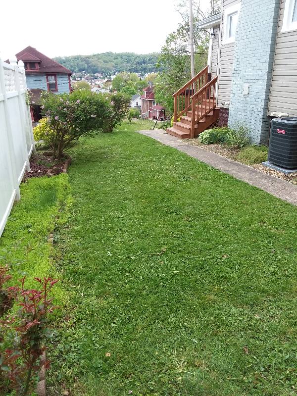 House for rent at 716 Hazel Ave, Ellwood City, PA 16117