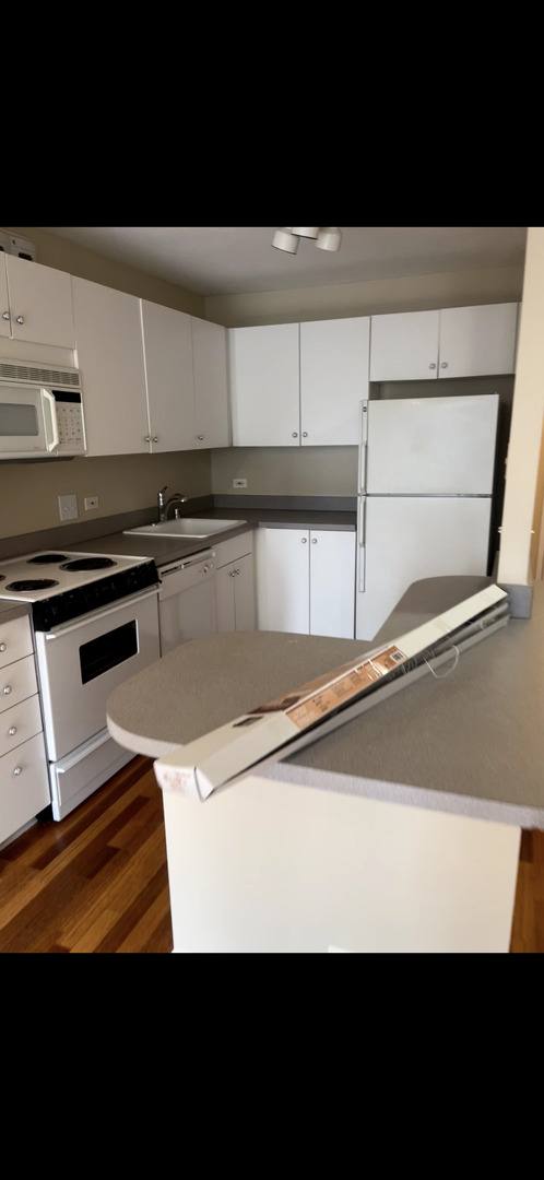 Condo for rent at 405 N Wabash Ave #308, Chicago, IL 60611