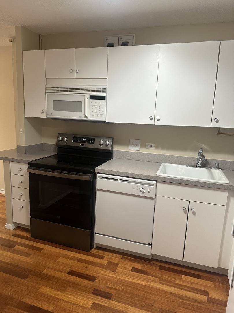 Condo for rent at 405 N Wabash Ave #308, Chicago, IL 60611