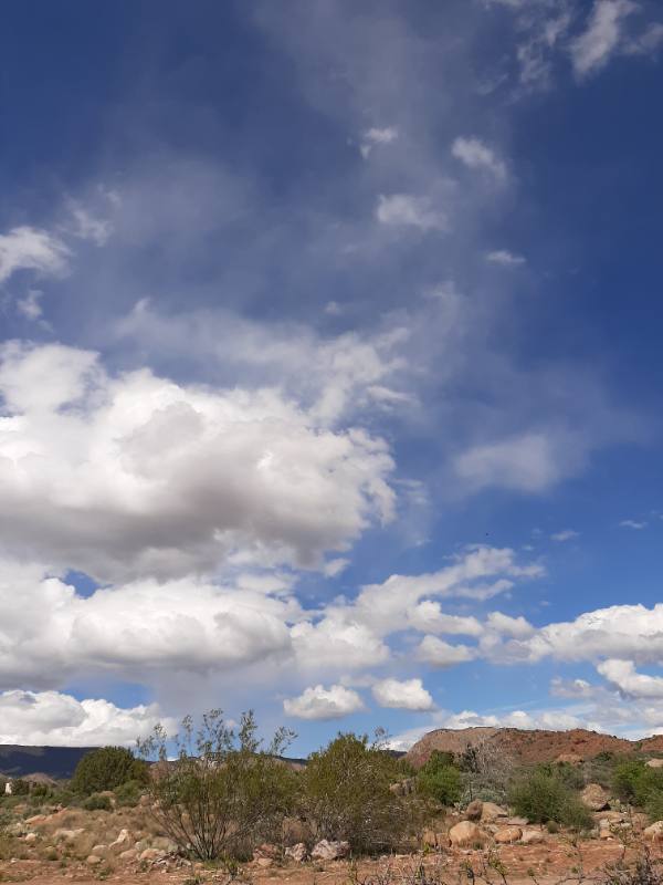 House for rent at 1 Rainbow Lane #2, Leeds, UT 84746