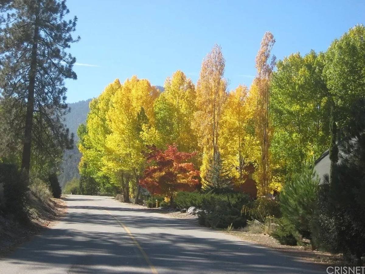 House for rent at 1708 Woodland Dr, Pine Mountain Club, CA 93222