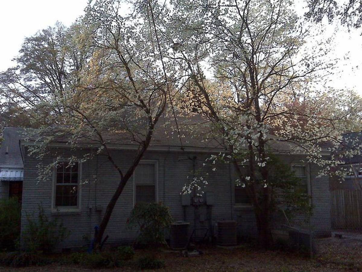 Apartment for rent at 2429 Monroe St, Columbia, SC 29205