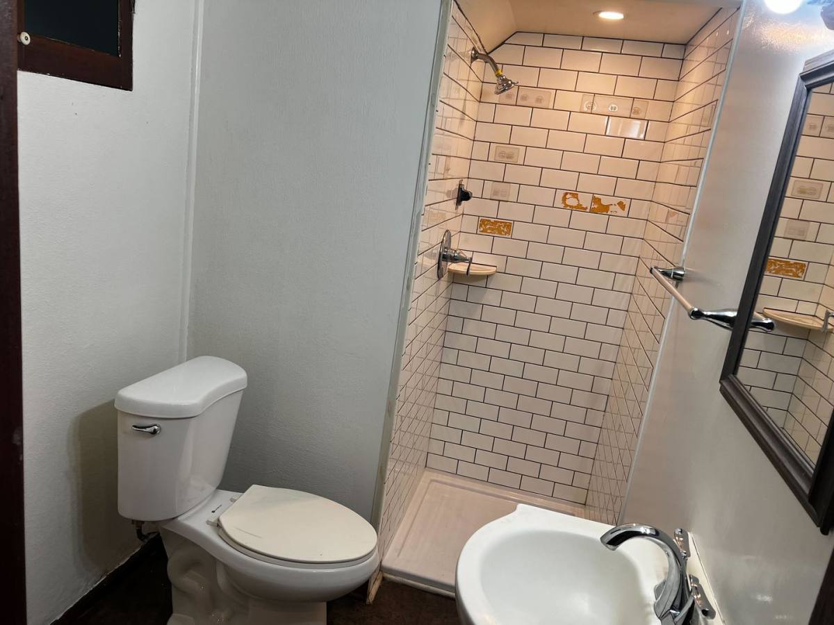 Apartment for rent at 210 Myrtle Ave, Albany, NY 12202