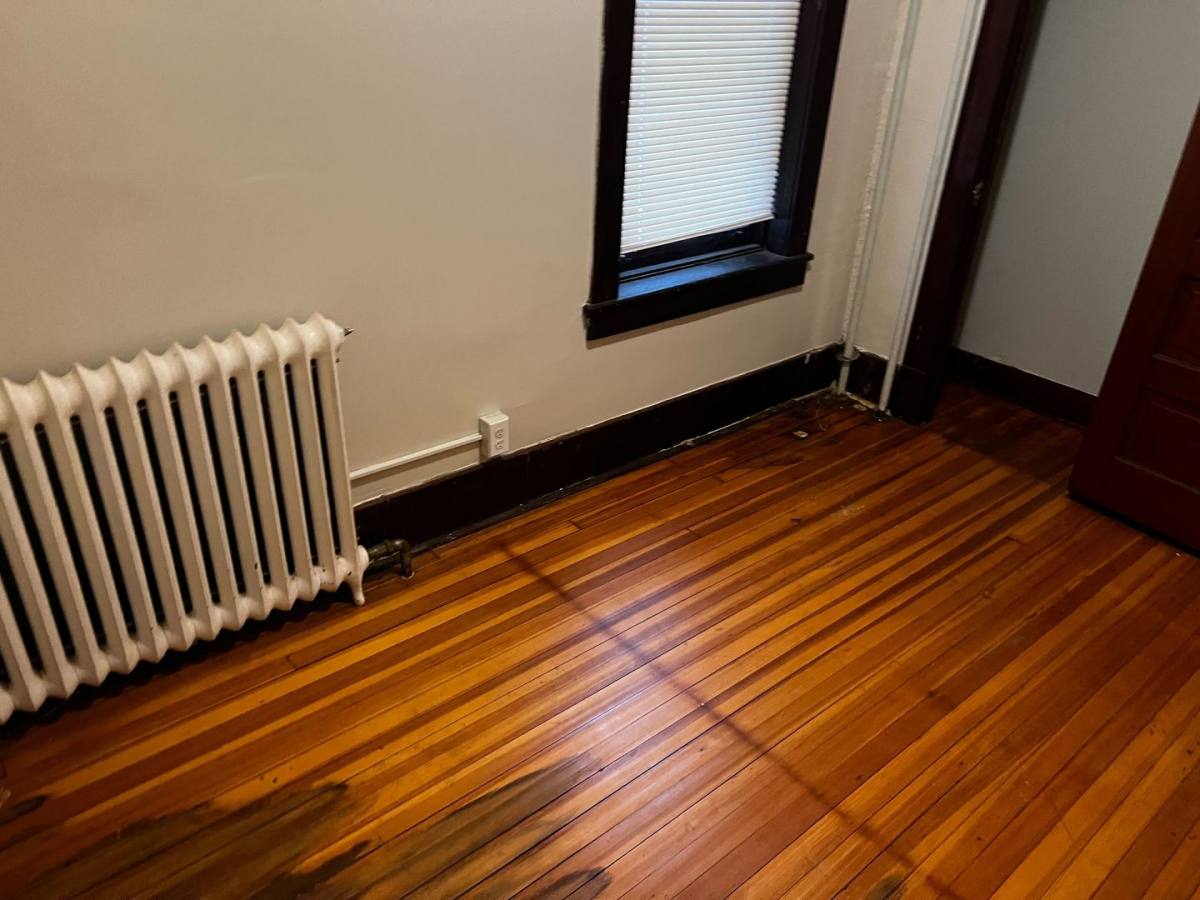 Apartment for rent at 210 Myrtle Ave, Albany, NY 12202