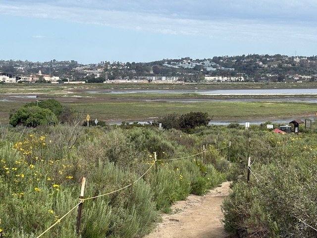 House for rent at 14073 Mira Montana Dr, Del Mar, CA 92014