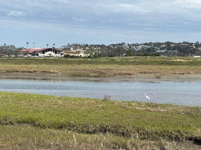 House for rent at 14073 Mira Montana Dr, Del Mar, CA 92014