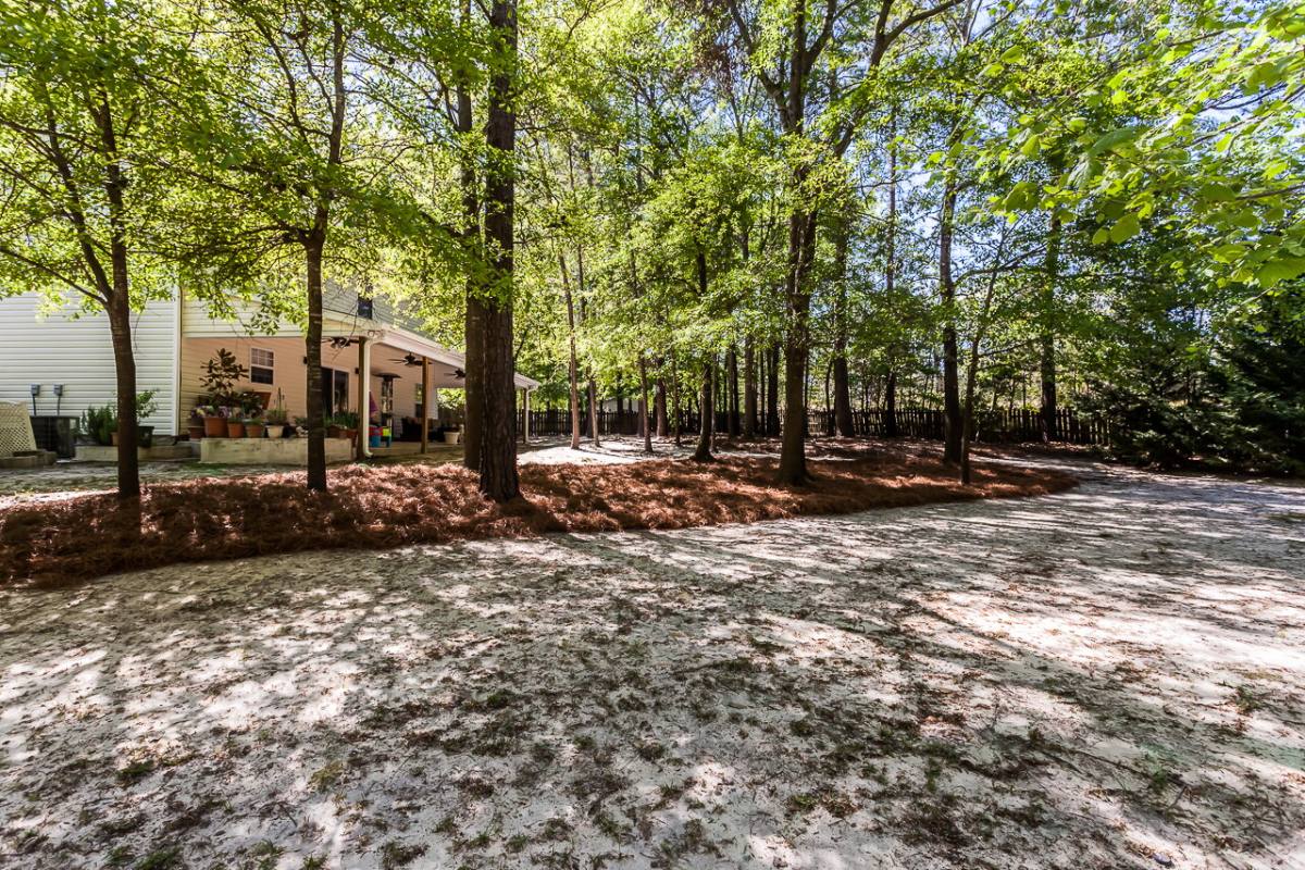 House for rent at 202 Castlebury Dr, Columbia, SC 29229