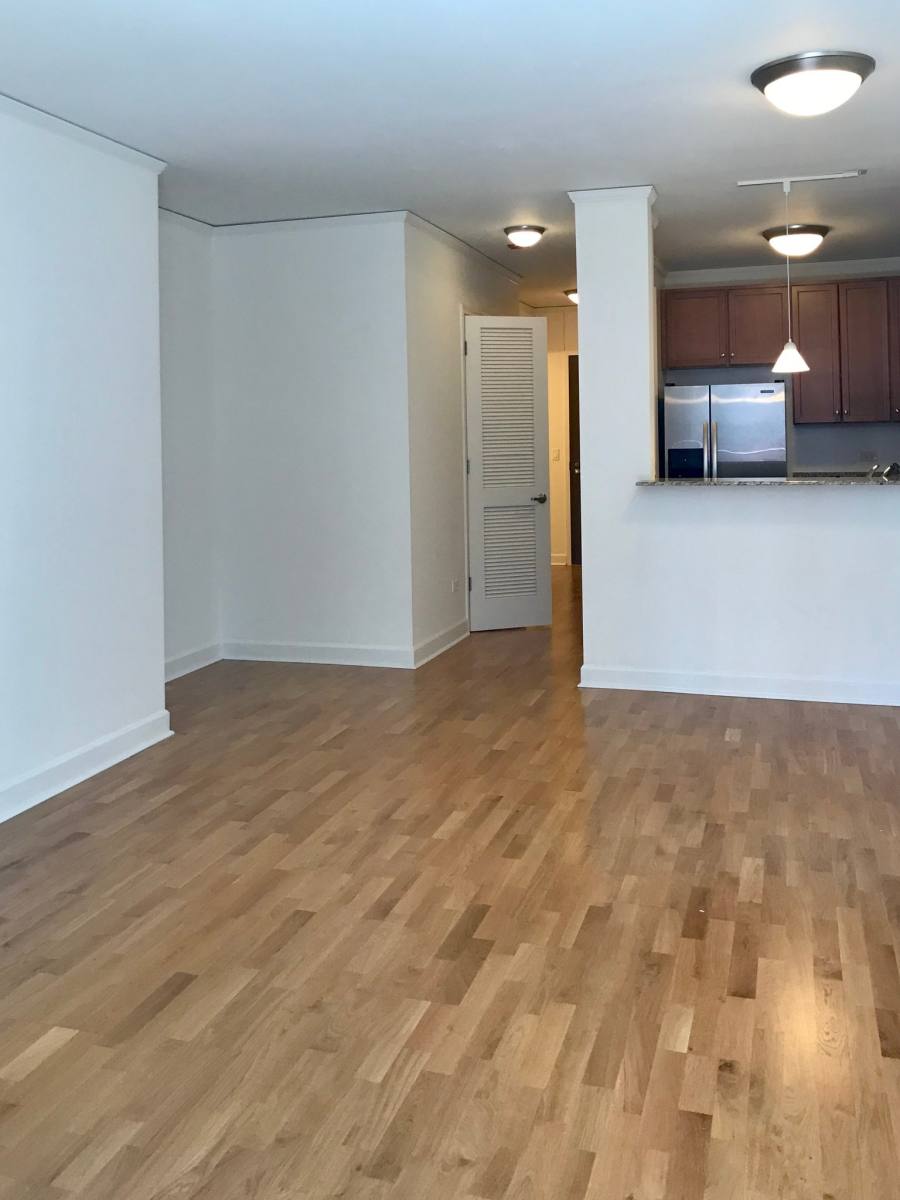 Apartment for rent at 450 E Waterside Dr #407, Chicago, IL 60601