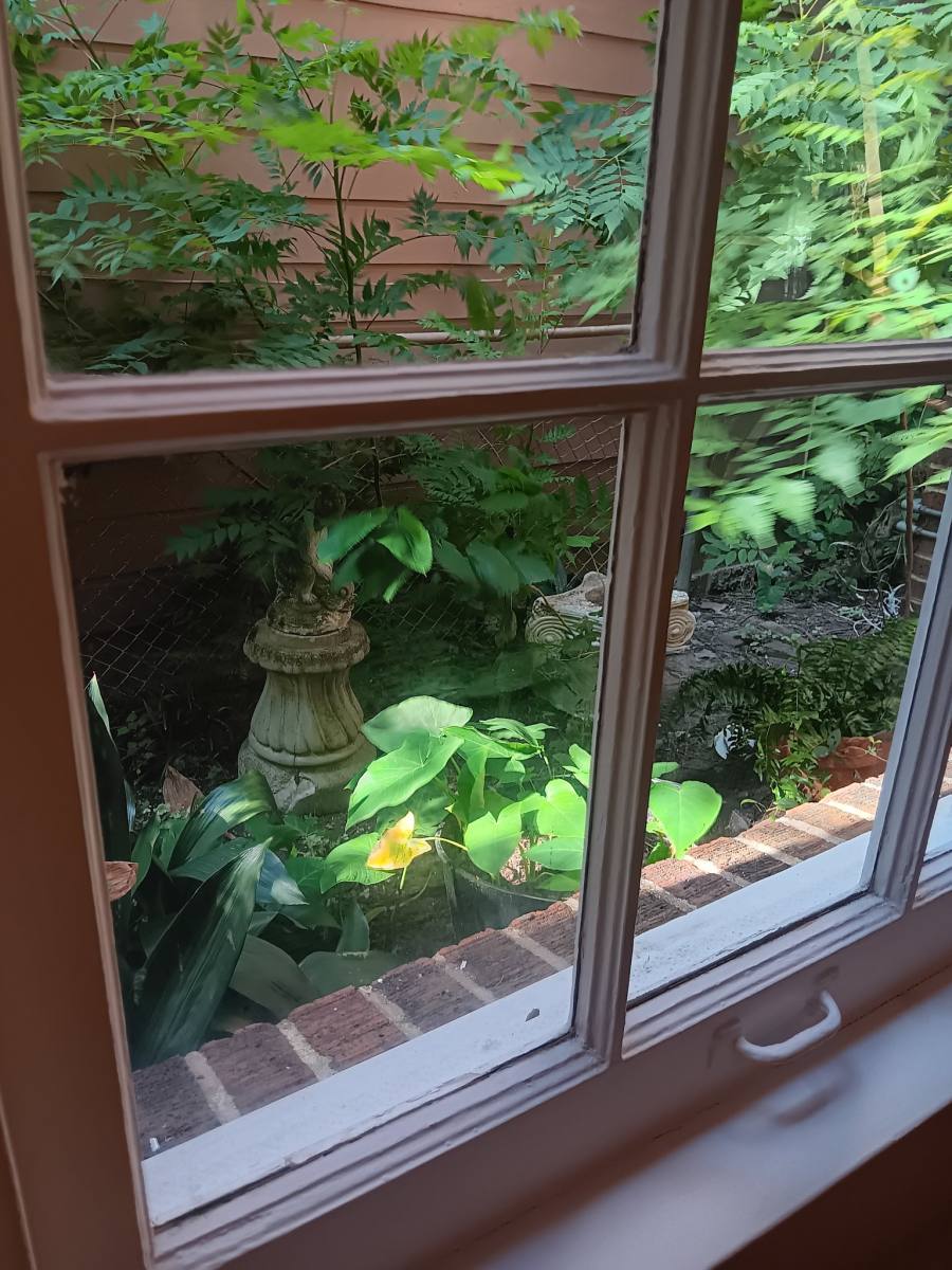 Apartment for rent at 2508 Van Buren St #1, Houston, TX 77006