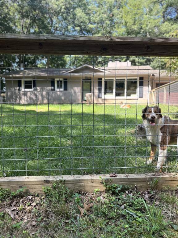 House for rent at 675 Hunter St, Burnsville, NC 28714