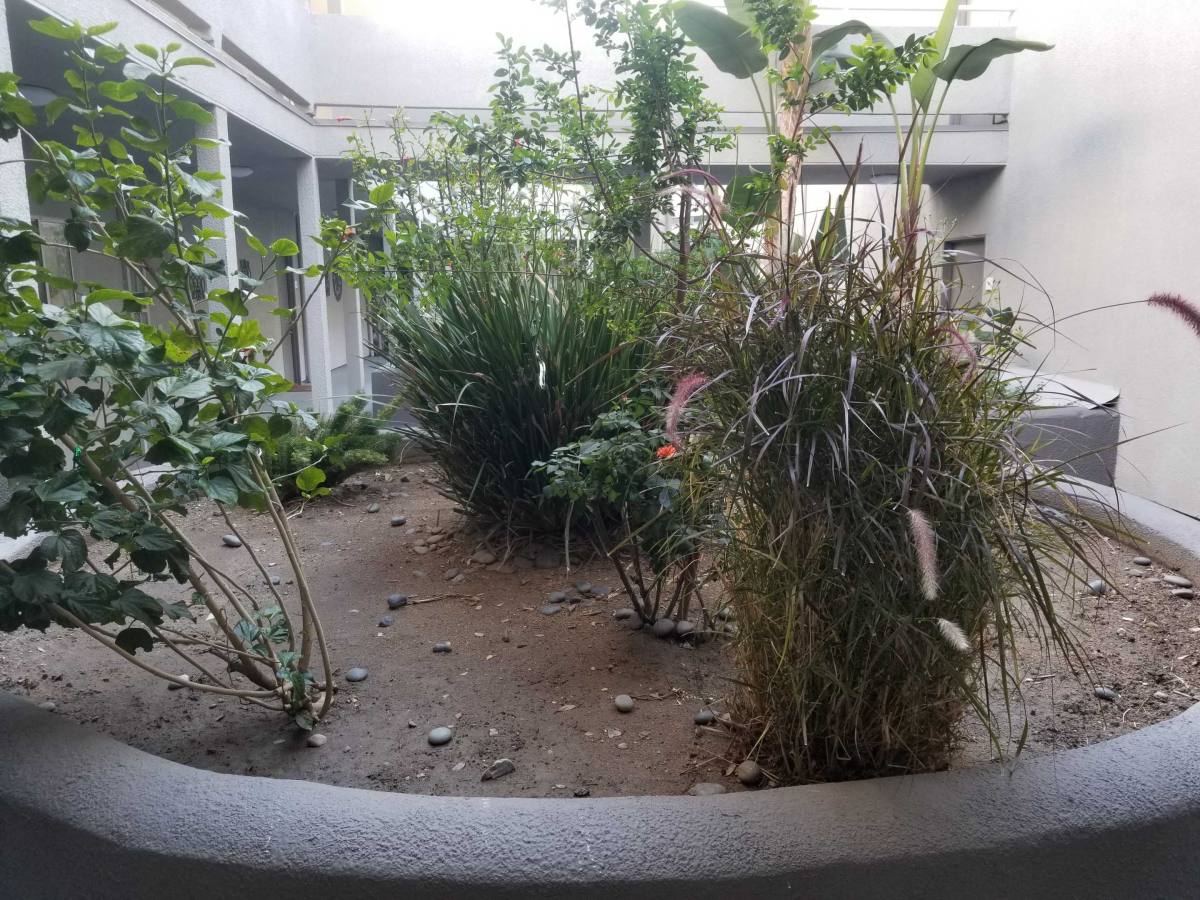 Apartment for rent at 20964 Vanowen St #107, Canoga Park, CA 91303