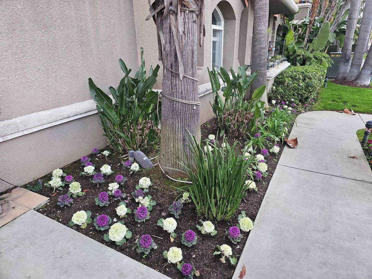 Apartment for rent at 3265 Sawtelle Blvd #203, Los Angeles, CA 90066