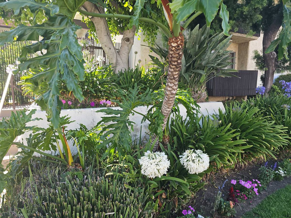Apartment for rent at 5055 Woodman Ave #104, Sherman Oaks, CA 91423