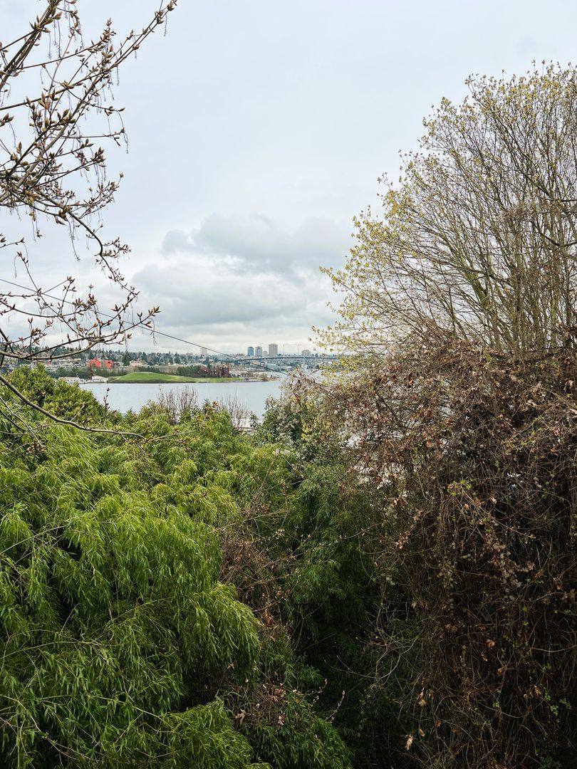 Apartment for rent at 2040 8th Ave N, Seattle, WA 98109