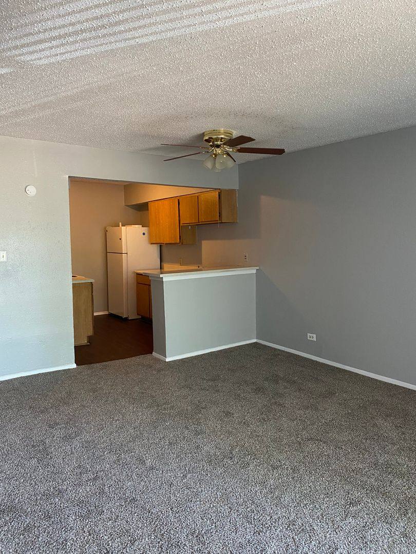 Apartment for rent at 322 Recoleta #206, San Antonio, TX 78216