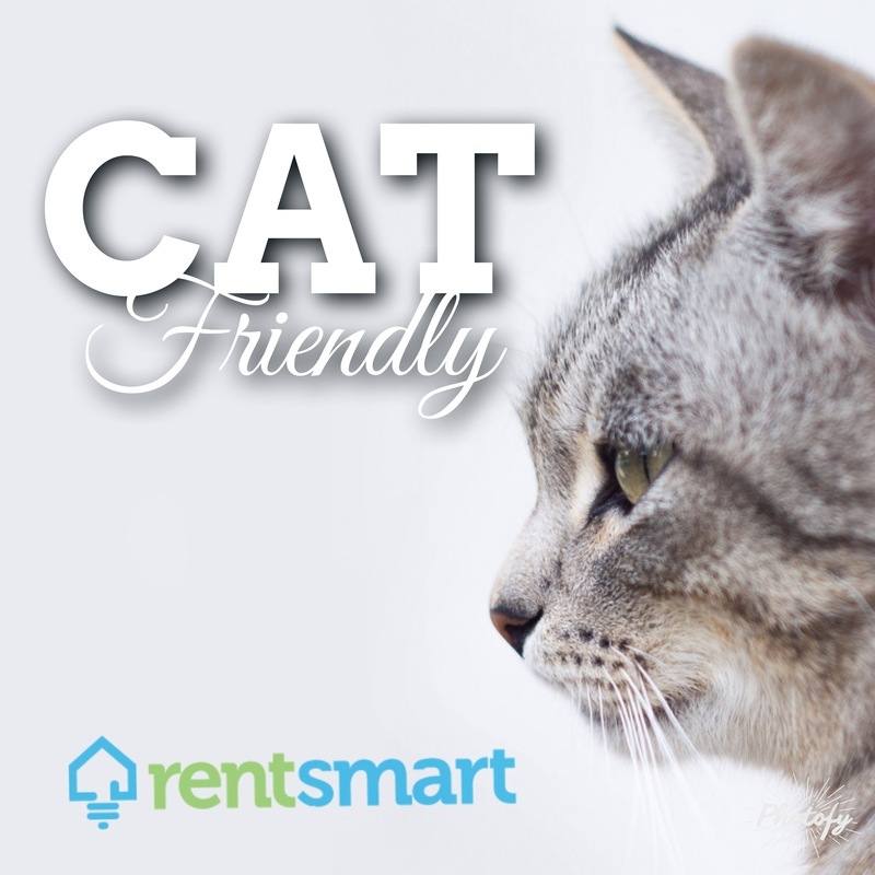 Apartment for rent at 1809 S 11th St W #3, Missoula, MT 59801