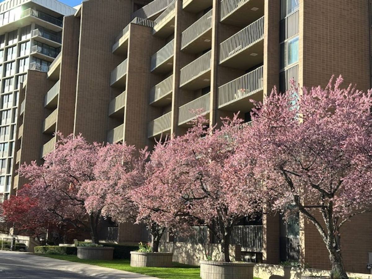 Apartment for rent at 245 N Vine, Salt Lake City, UT 84103