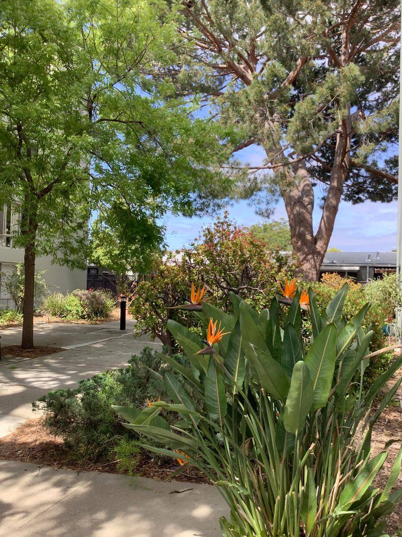 Apartment for rent at 390 N Winchester Blvd, Santa Clara, CA 95050