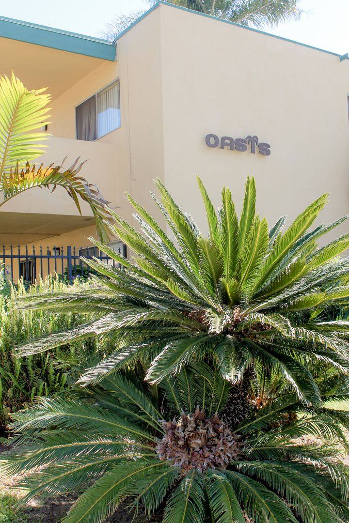 Apartment for rent at 50 Magnolia Ave, Goleta, CA 93117