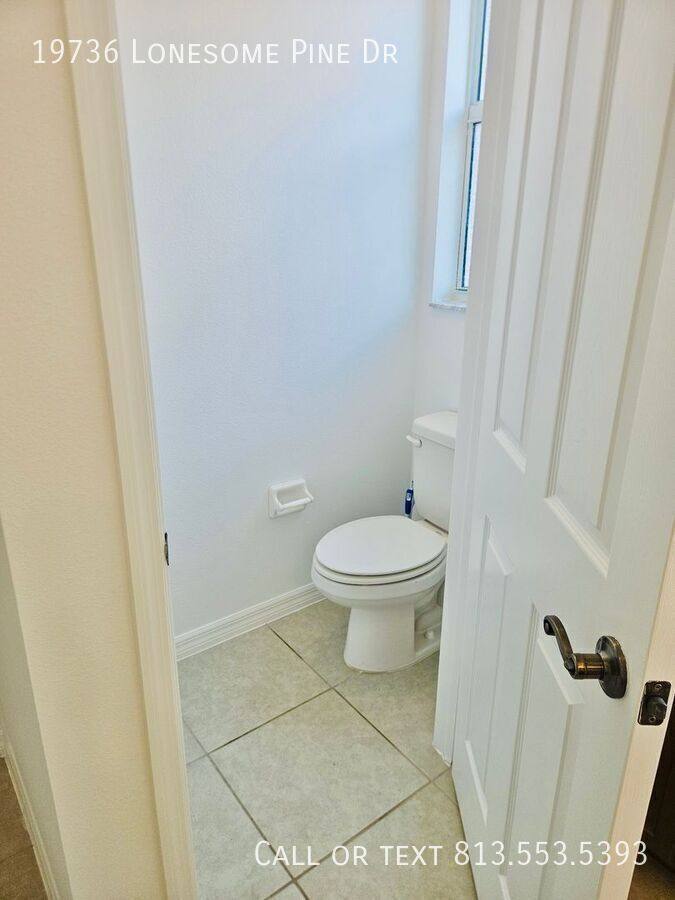House for rent at 19736 Lonesome Pine Dr, Land O Lakes, FL 34638