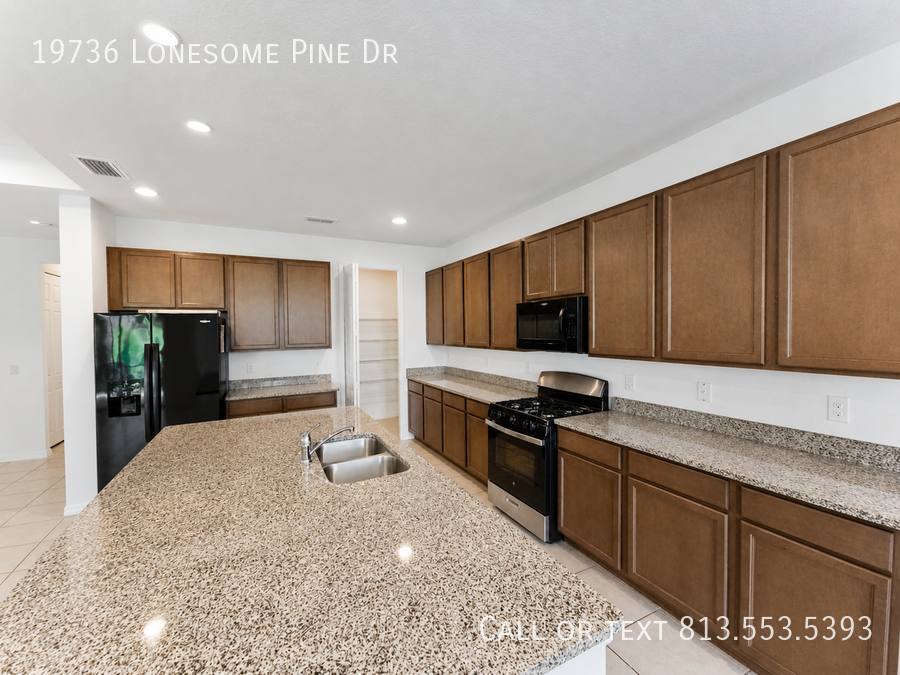 House for rent at 19736 Lonesome Pine Dr, Land O Lakes, FL 34638