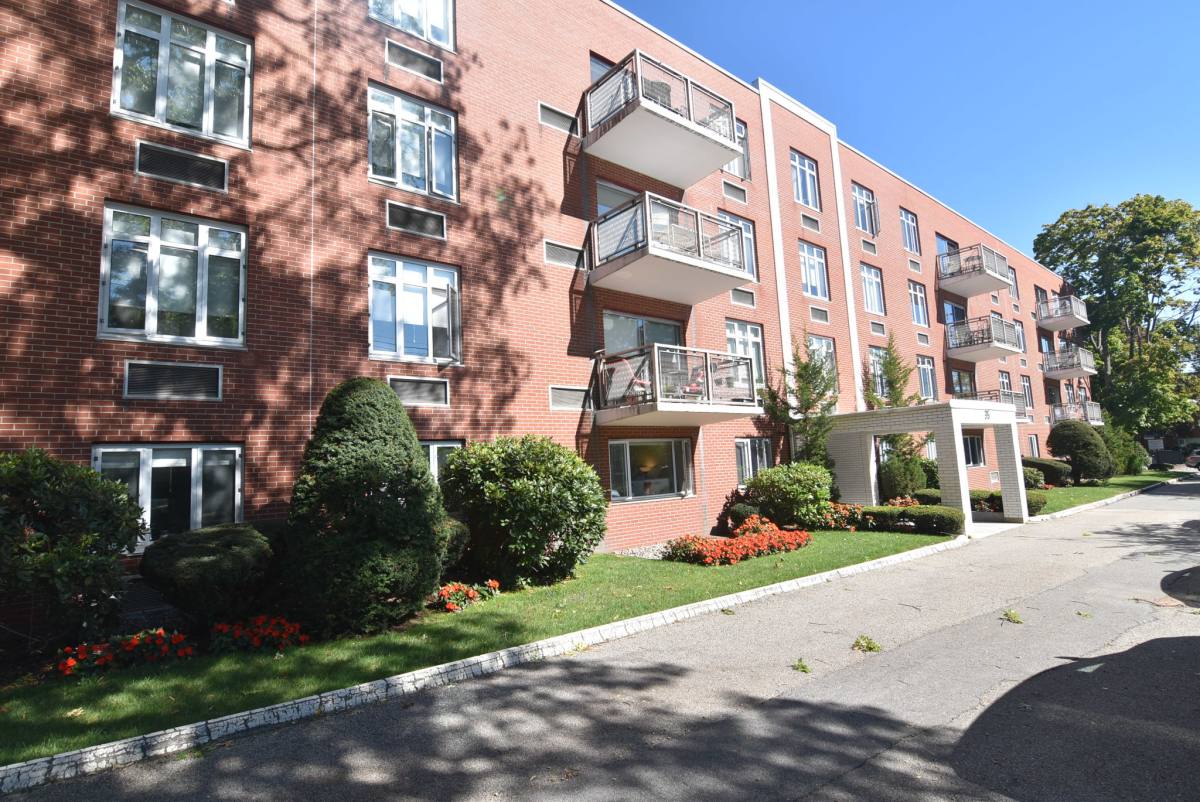 Apartment for rent at 35 Vernon St #109, Brookline, MA 02446