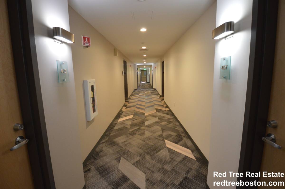 Apartment for rent at 40 Malvern St #307, Allston, MA 02134